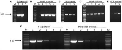 Rapid Detection and Typing of Actinobacillus pleuropneumoniae Serovars Directly From Clinical Samples: Combining FTA® Card Technology With Multiplex PCR